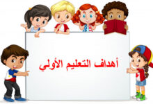 أهداف التعليم الأولي