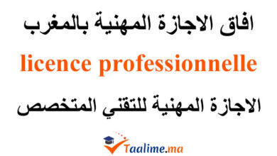 الاجازة المهنية