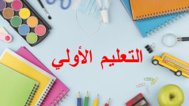 التعليم الاولي ورياض الاطفال