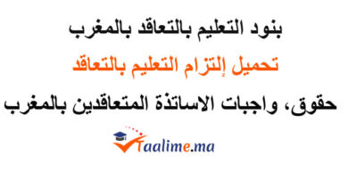 بنود عقد التعليم بالتعاقد