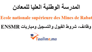 المدرسة الوطنية العليا للمعادن