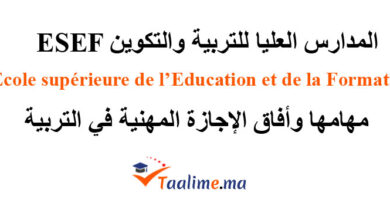المدارس العليا للتربية والتكوين