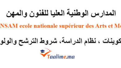 المدارس الوطنية العليا للفنون والمهن