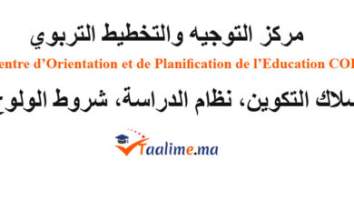 مركز التوجيه والتخطيط التربوي