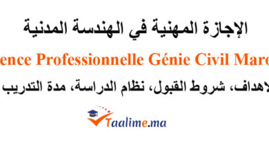 الإجازة المهنية في الهندسة المدنية