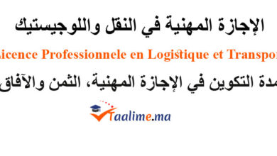 الاجازة المهنية في النقل واللوجستيك