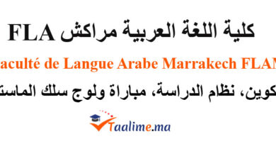 كلية اللغة العربية