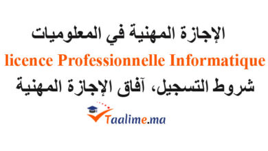 الاجازة المهنية في المعلوميات