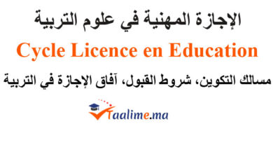 الاجازة المهنية في علوم التربية