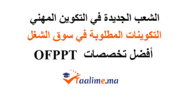 الشعب المطلوبة في سوق الشغل