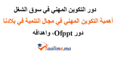 دور التكوين المهني