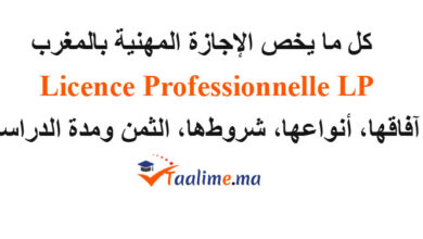 الاجازة المهنية