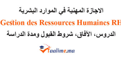 الاجازة المهنية في الموارد البشرية