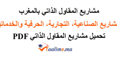 مشاريع المقاول الذاتي