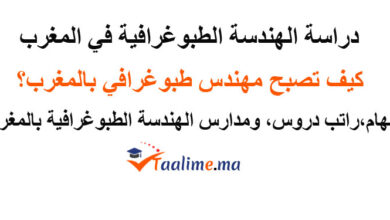 الهندسة الطبوغرافية