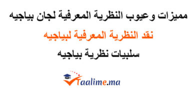 مميزات وعيوب النظرية المعرفية