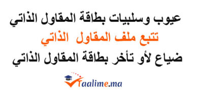 سلبيات المقاول الذاتي