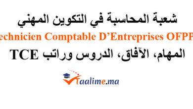 شعبة المحاسبة في التكوين المهني