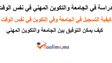 الدراسة في الجامعة والتكوين المهني