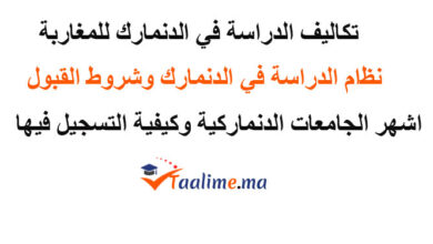 الدراسة في الدنمارك