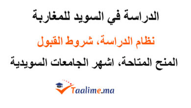 الدراسة في السويد