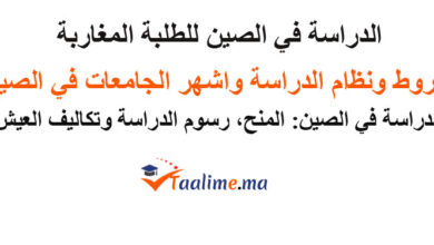 الدراسة في الصين