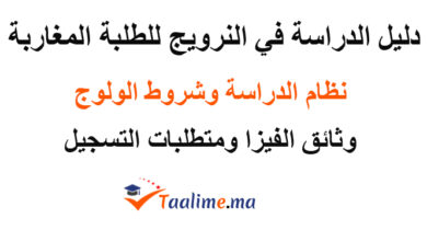 الدراسة في النرويج