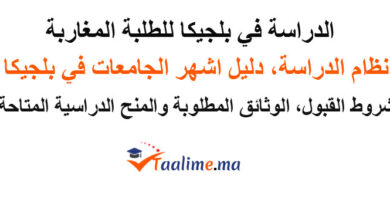 الدراسة في بلجيكا