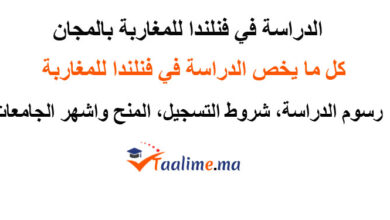 الدراسة في فنلندا