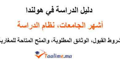 الدراسة في هولندا