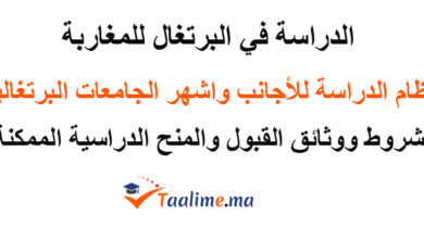 الدراسة في البرتغال