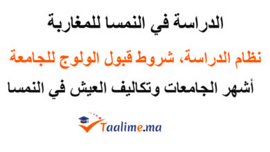 الدراسة في النمسا