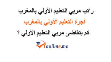 راتب مربي التعليم الأولي