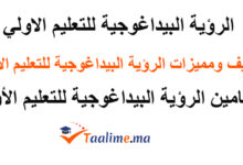 الرؤية البيداغوجية للتعليم الأولي