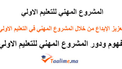 المشروع المهني في التعليم الاولي