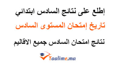 نتائج السادس ابتدائي