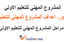 المشروع المهني للتعليم الأولي
