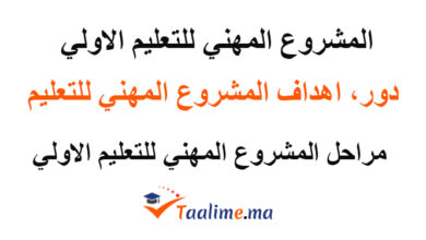 المشروع المهني للتعليم الأولي