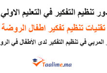 تنظيم التفكير في التعليم الأولي