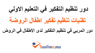 تنظيم التفكير في التعليم الأولي